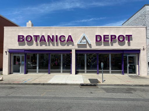 Distribuidora Mas Alla Store 